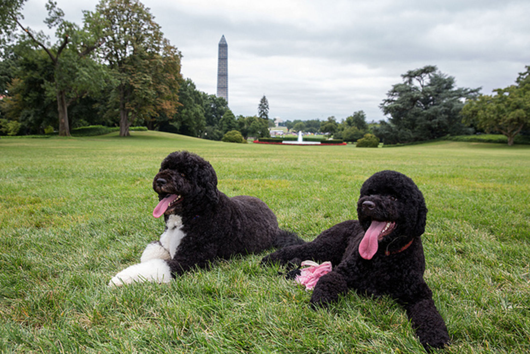 Barack Obama